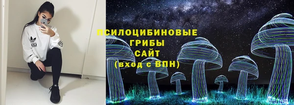 эйфоретик Алексеевка